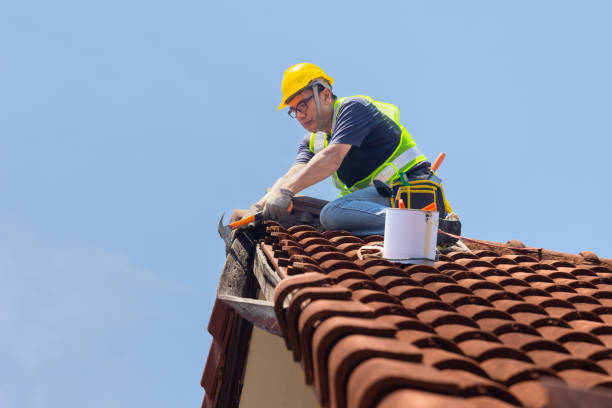 Best Roof Inspection  in USA